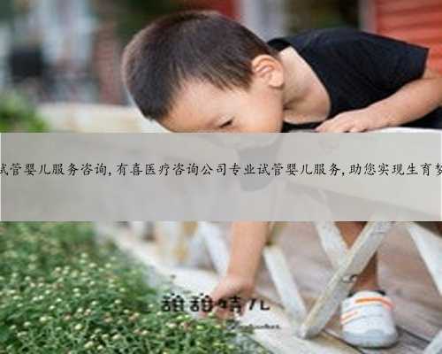 广州试管婴儿服务咨询,有喜医疗咨询公司专业试管婴儿服务,助您实现生育梦想