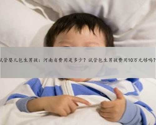 试管婴儿包生男孩：河南省费用是多少？试管包生男孩费用10万元够吗？